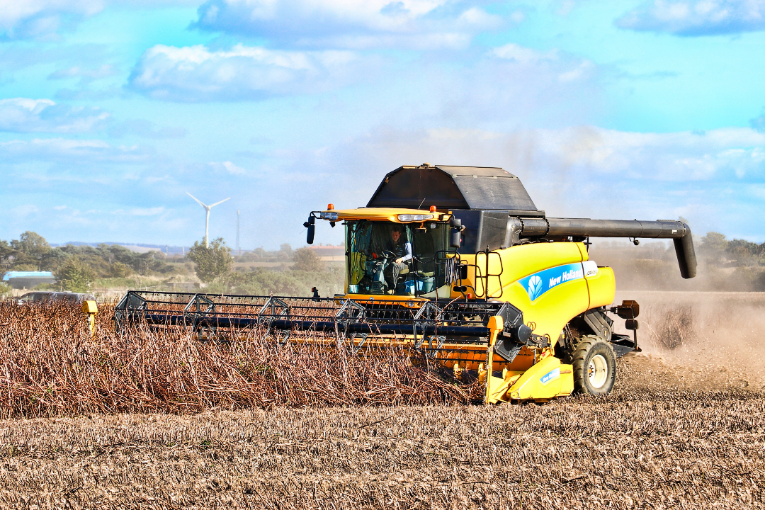 Tracteur récoltant un champ de carottes couvert de paille à Luffness mains  Farm, East Lothian, Écosse, Royaume-Uni Photo Stock - Alamy