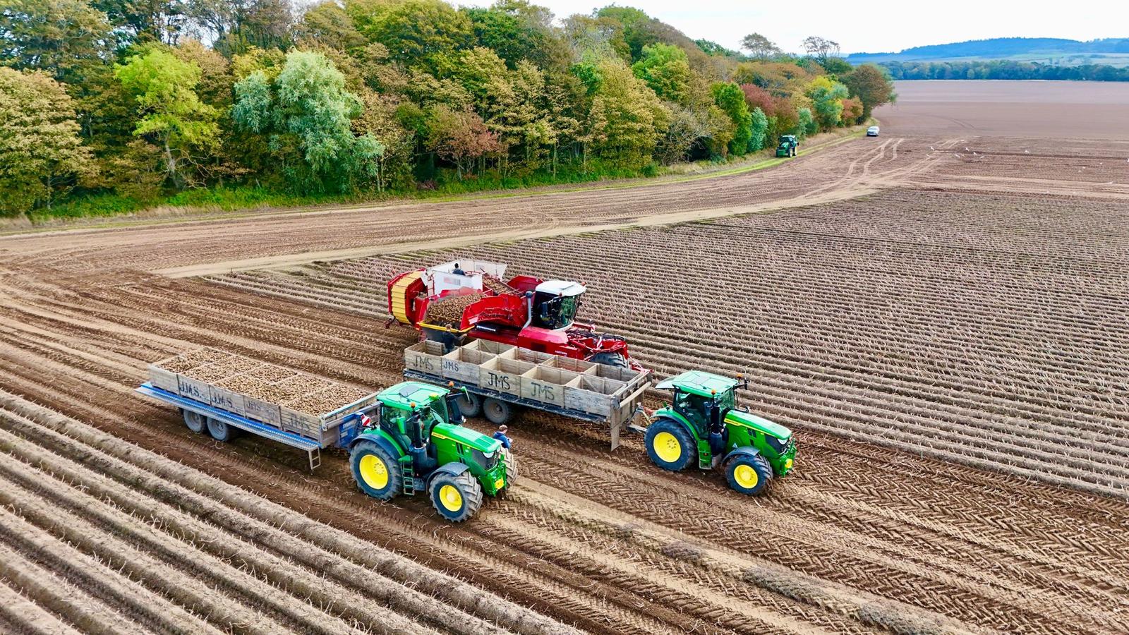 Tractors in field